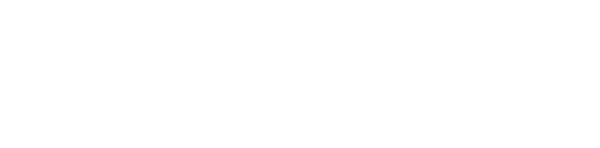 Recon